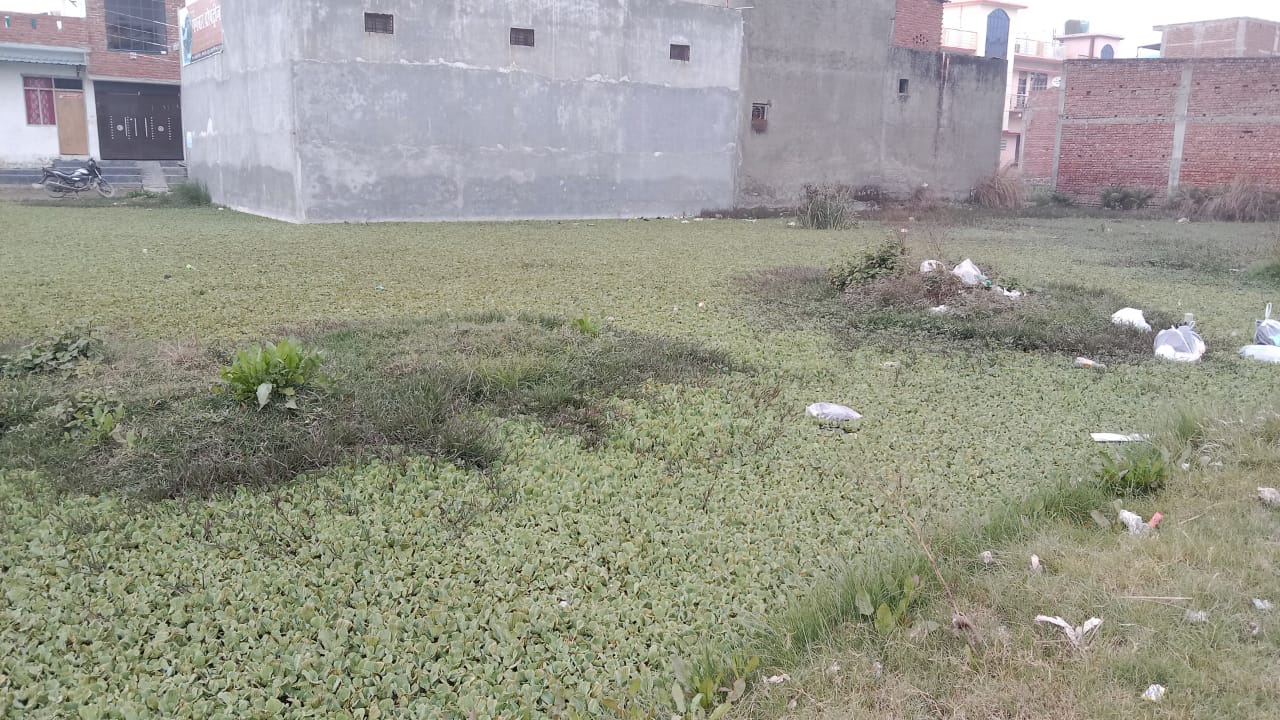 GDPROP470369004